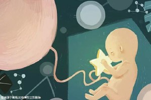 万级层流胚胎实验室